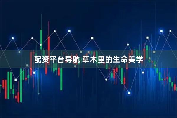配资平台导航 草木里的生命美学